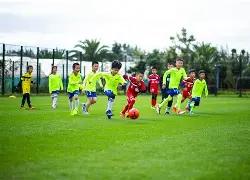 凯尔特人强,势逆袭,普理查德独,好博体育,好博体育官网,好博体育官方,好博体育下载